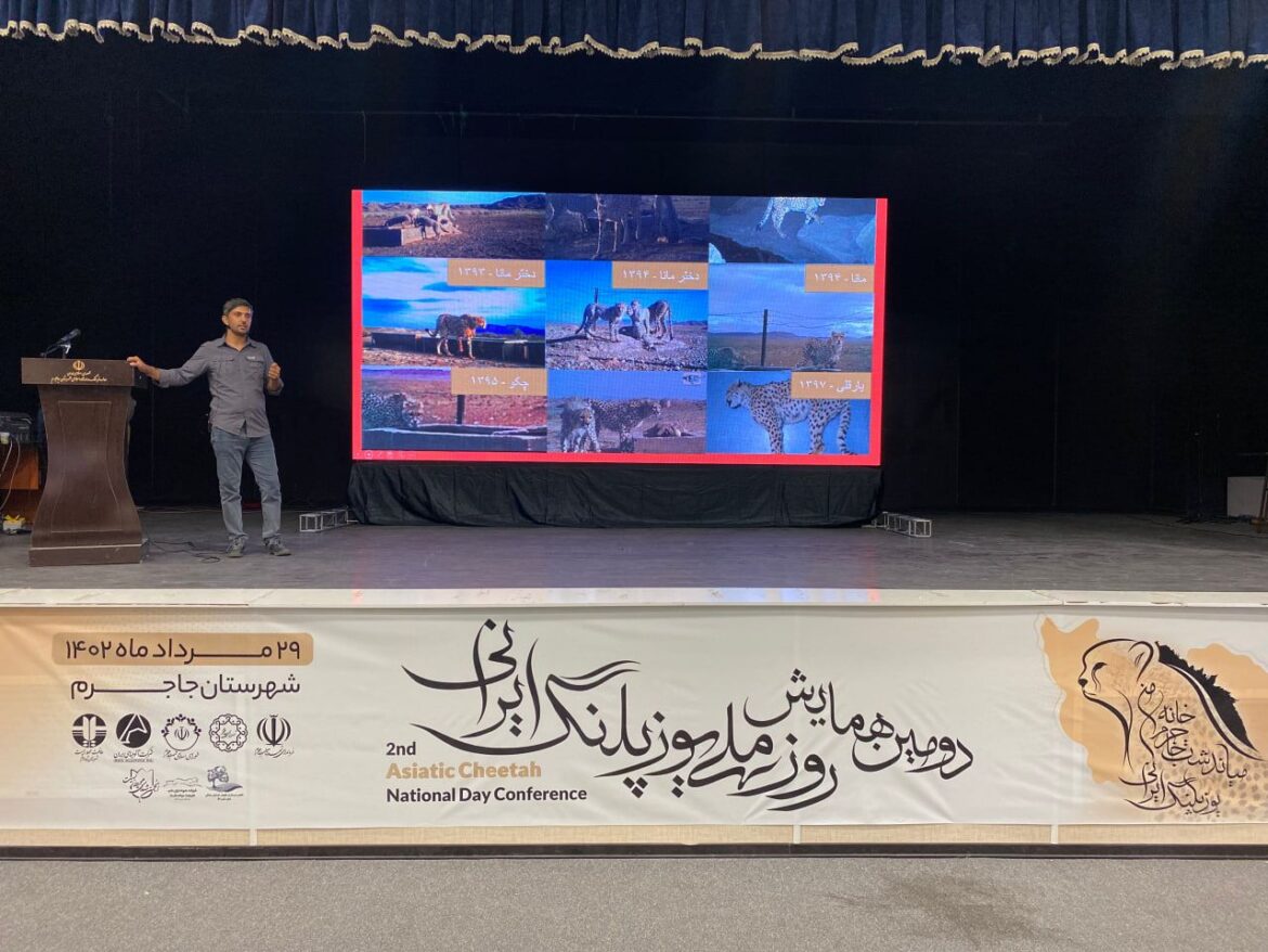 Iranian Cheetah Day