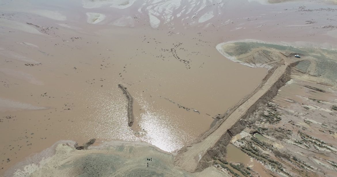 Innovative water management desert wildlife restoration increases gazelle numbers