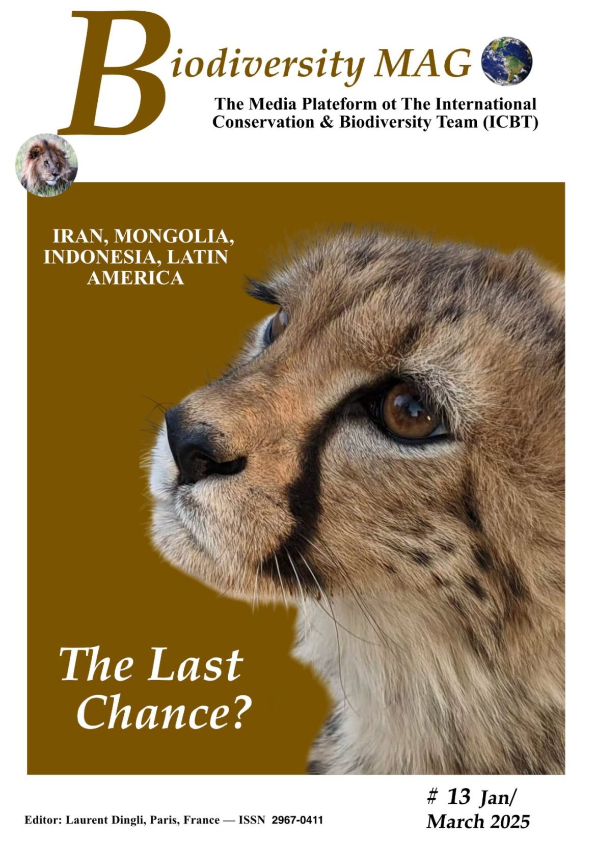 Asiatic cheetah conservation in Iran – threats, solutions, and community actio