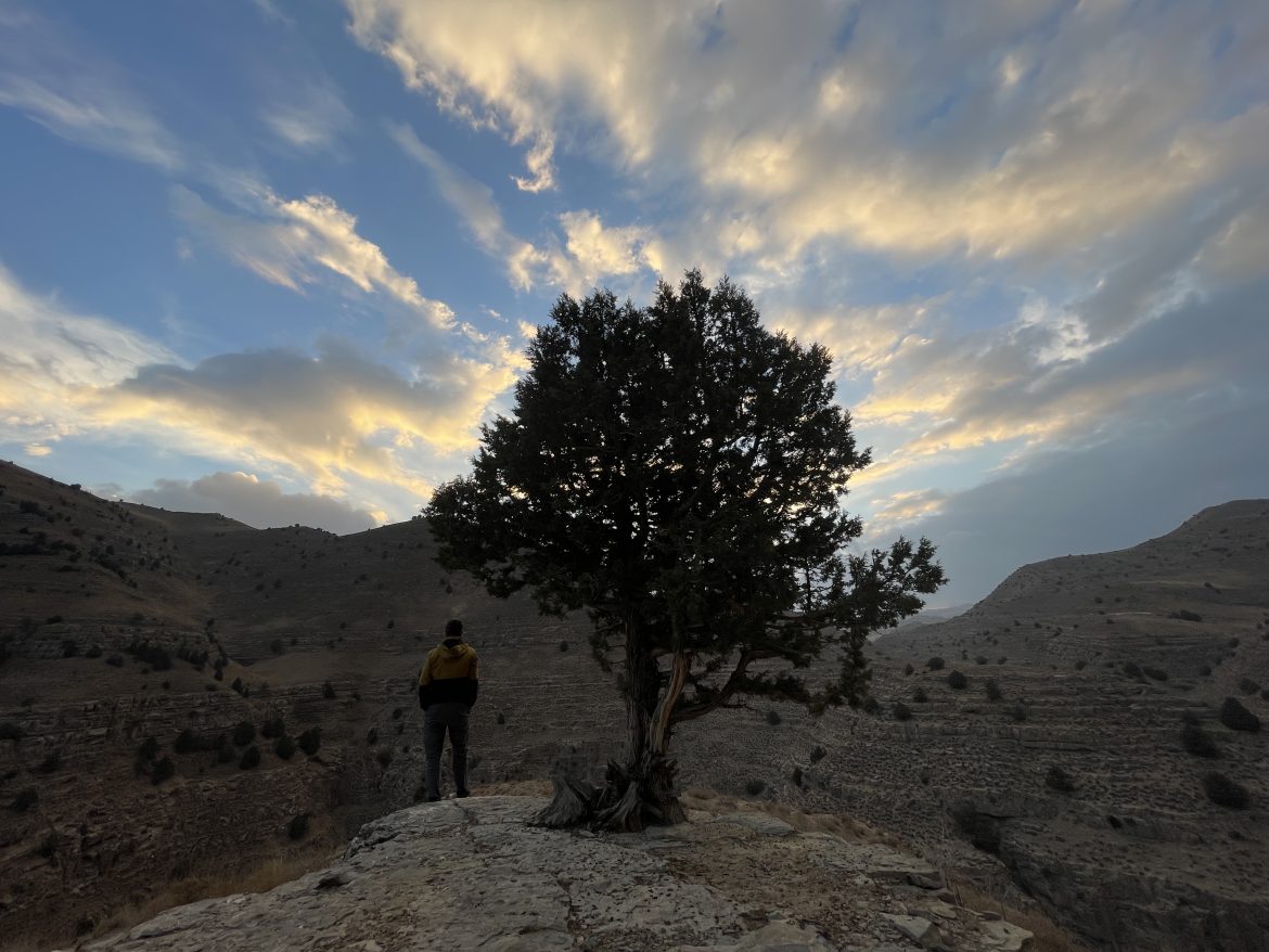 Embracing Vulnerability in Conservation, new paths for wildlife restoration